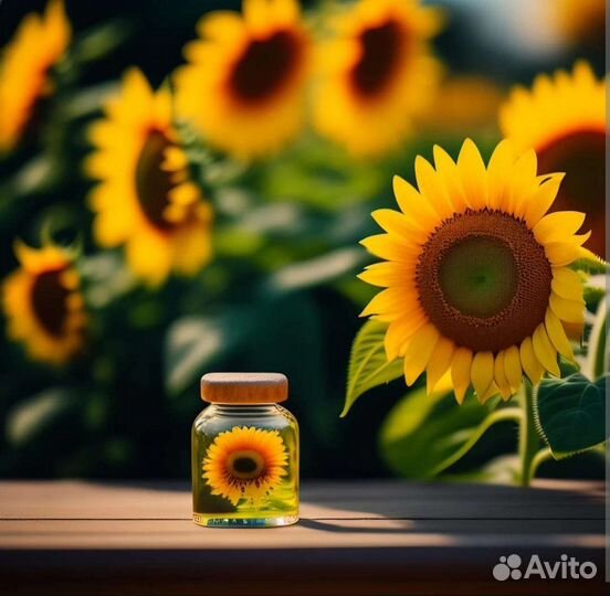 Семена подсолнечника Монарх