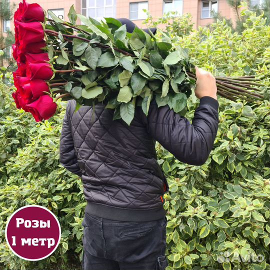 Букет красных роз, Эквадор, 100см 29 шт