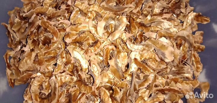 Перегородки грецких орехов