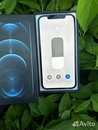 iPhone 12 Pro, 256 ГБ