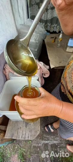 Мёд цветок с. И документами