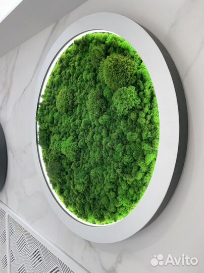 Живое панно с подсветкой со стабилизированным мхом