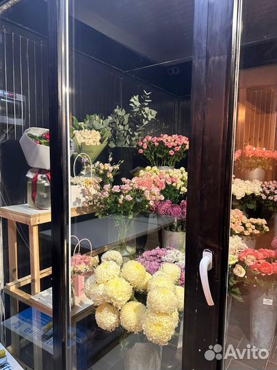 Цветочный магазин / цветочный салон