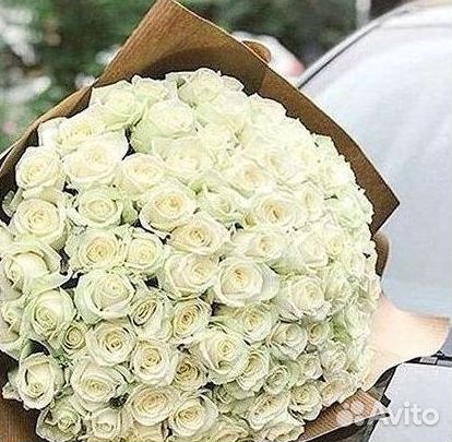 101 Роза Цветы Букеты 51 25 Роз Доставка