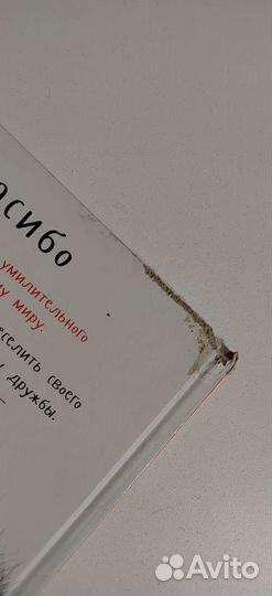 Котенок Шмяк говорит спасибо