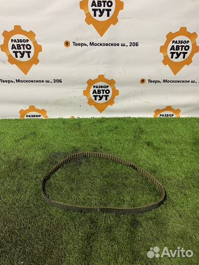 Ремень грм Ford Focus 3 1.6 pnda