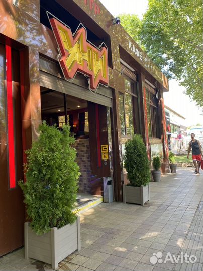 Официант, Бармен