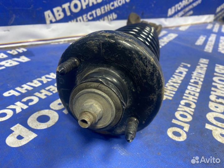 Передняя левая стойка амортизатора Honda Domani