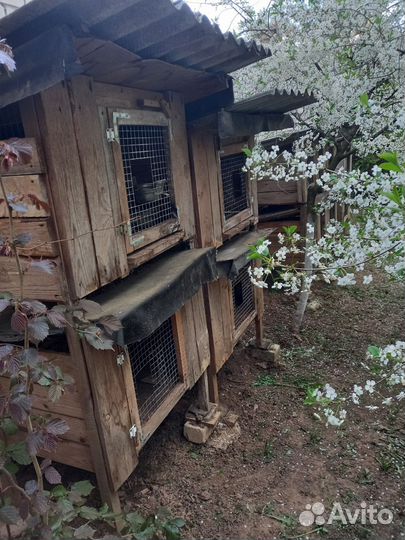 Клетка для кролика большая