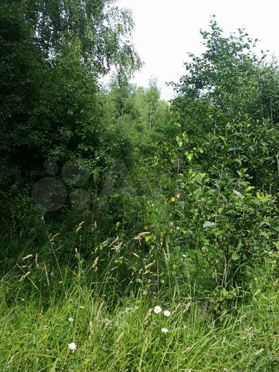 Участок 4,4 га (СНТ, ДНП)