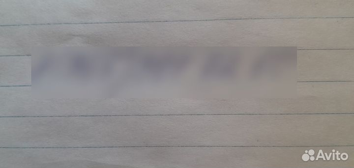 Тыква оптом