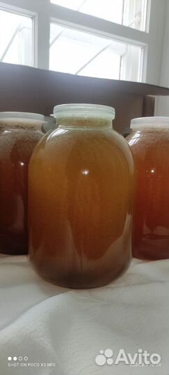 Натуральный мёд 2024