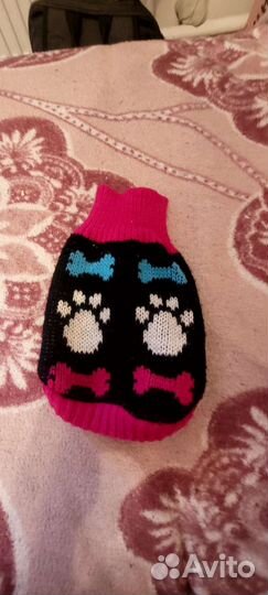 Вещи для мини Той терьера