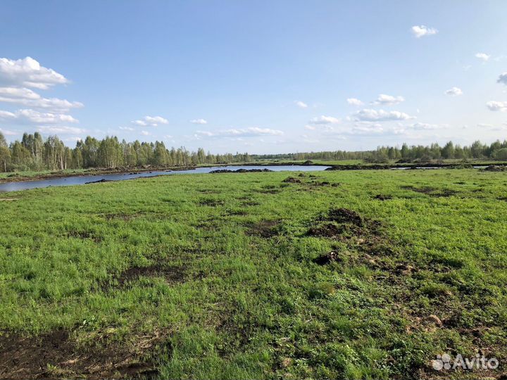 Торф верховой