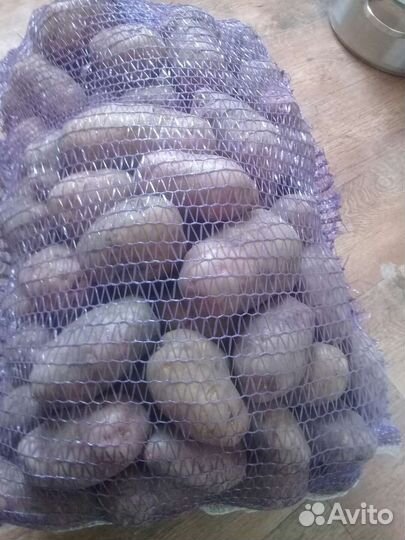 Продам Картофель