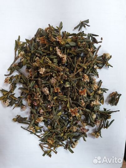 Саган дайля