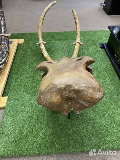 Голова шерстистого мамонта (имитация), сувенир