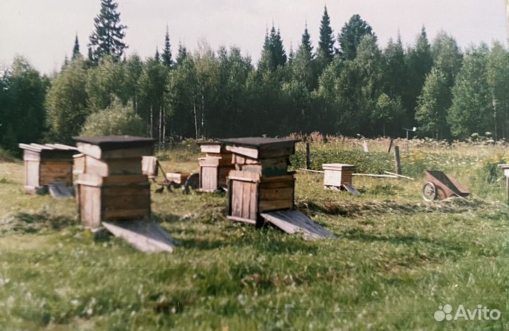 Ульи в чехлах для зимовки