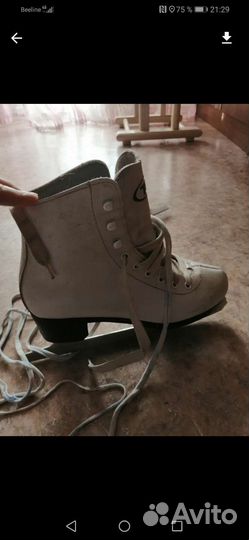 Продам коньки