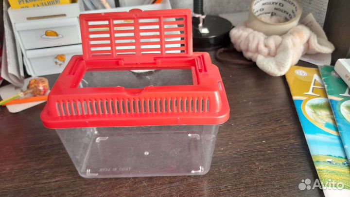 Террариум для рептилий