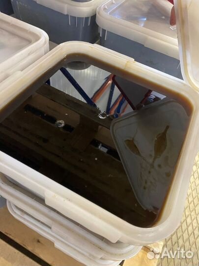 Целебный Мед от добрых пчел