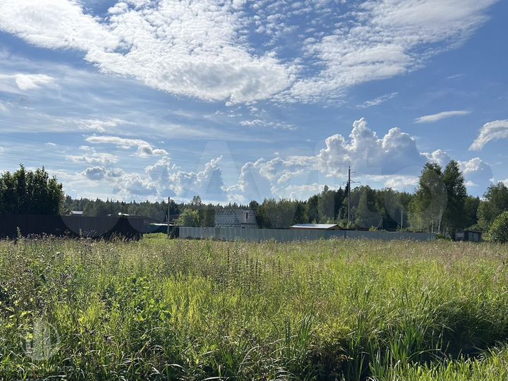 Участок 22 сот. (СНТ, ДНП)