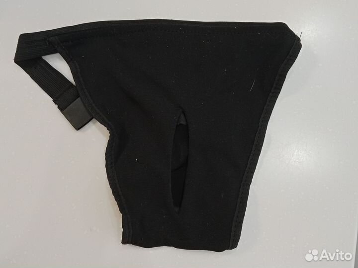 Отдам трусики для собак