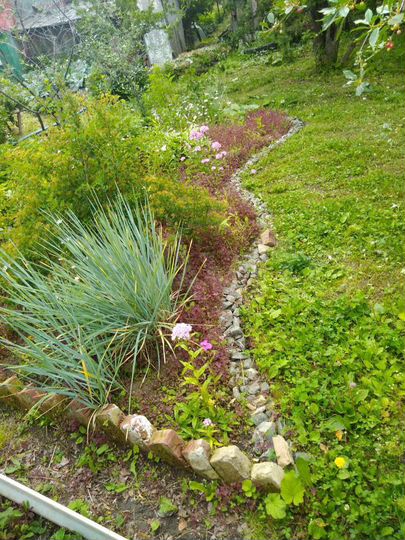 Дача 20 м² на участке 9,2 сот.