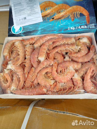 Лангустины