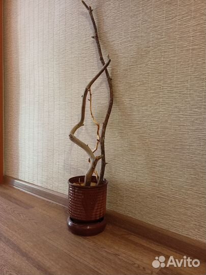 Кашпо горшок керамический