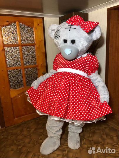 Поздравление мишки Тедди и белого кота