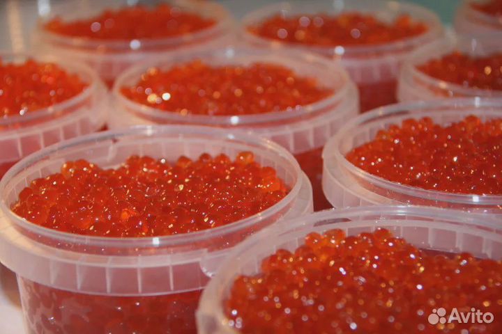 Красная икра форель. Поставки оптовые