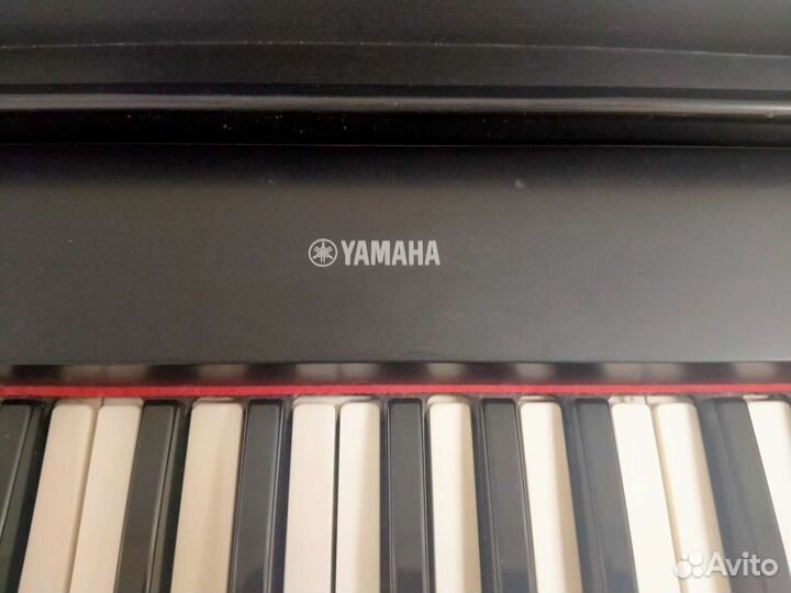 Цифровое пианино Yamaha np-31