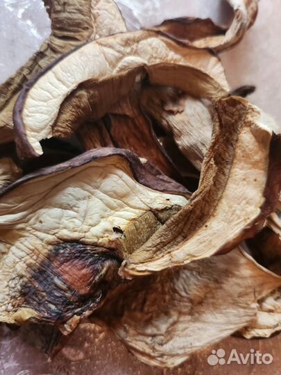 Сухой белый гриб