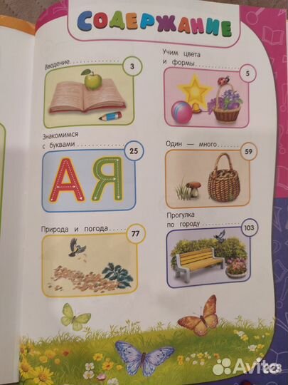 Годовой курс занятий 2-3 года