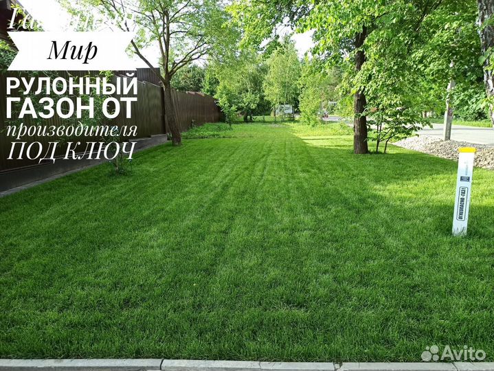 Рулонный газон