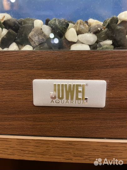 Аквариум с тумбой juwel 350 л