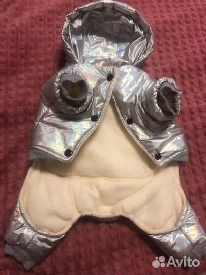 Одежда для собак