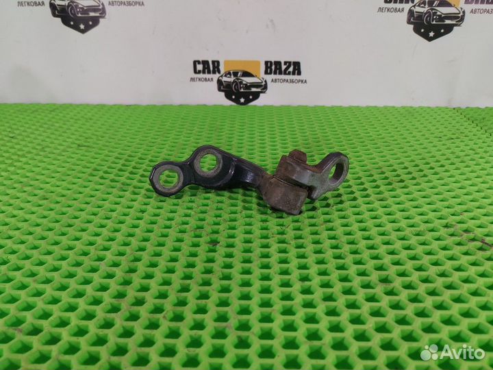 Петля двери задней левой нижняя L