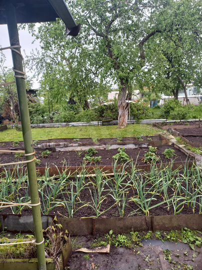 Участок 5 сот. (СНТ, ДНП)