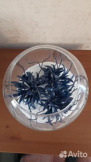 Флорариум композиция