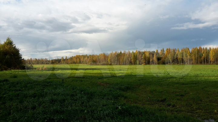 Участок 4,19 га (СНТ, ДНП)