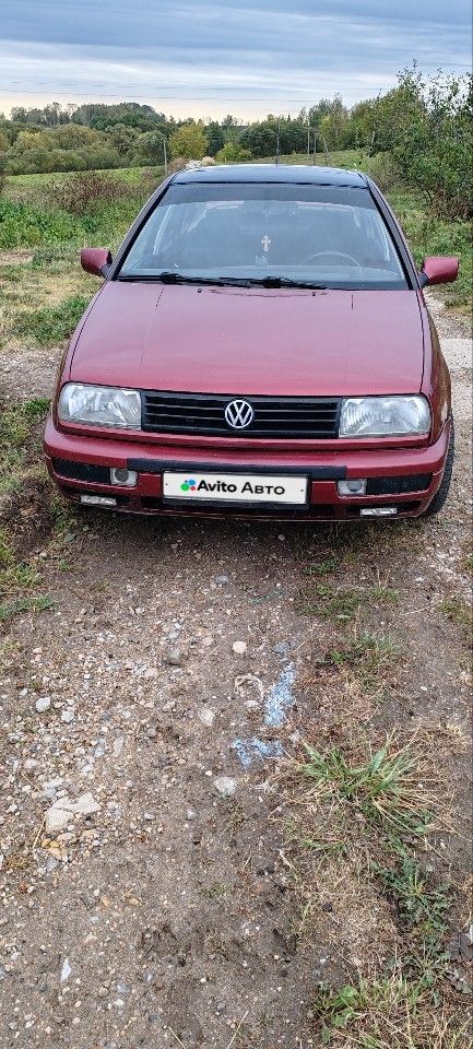 Volkswagen Vento: фото из отзыва