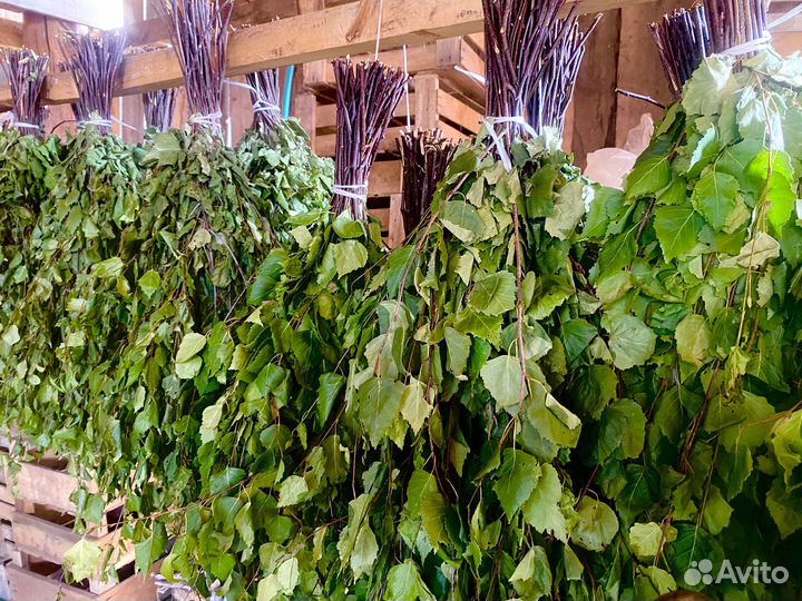 Веники березовые для бани