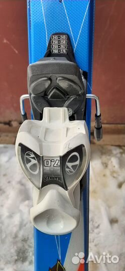 Горные лыжи