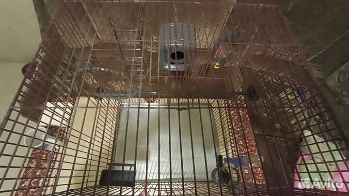 Клетка для попугая