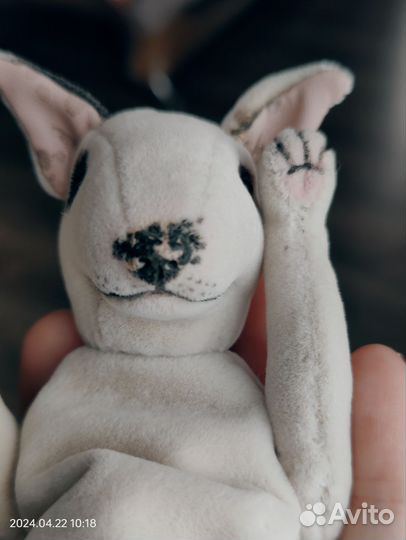 Бультерьер