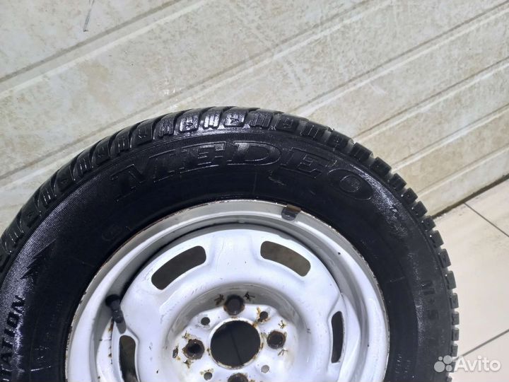 Medeo  Winter 175/70 R13