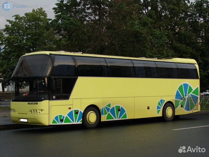 Требуется водитель автобуса
