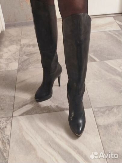 Сапоги женские ботфорты кожаные Carlo Pasolini 40